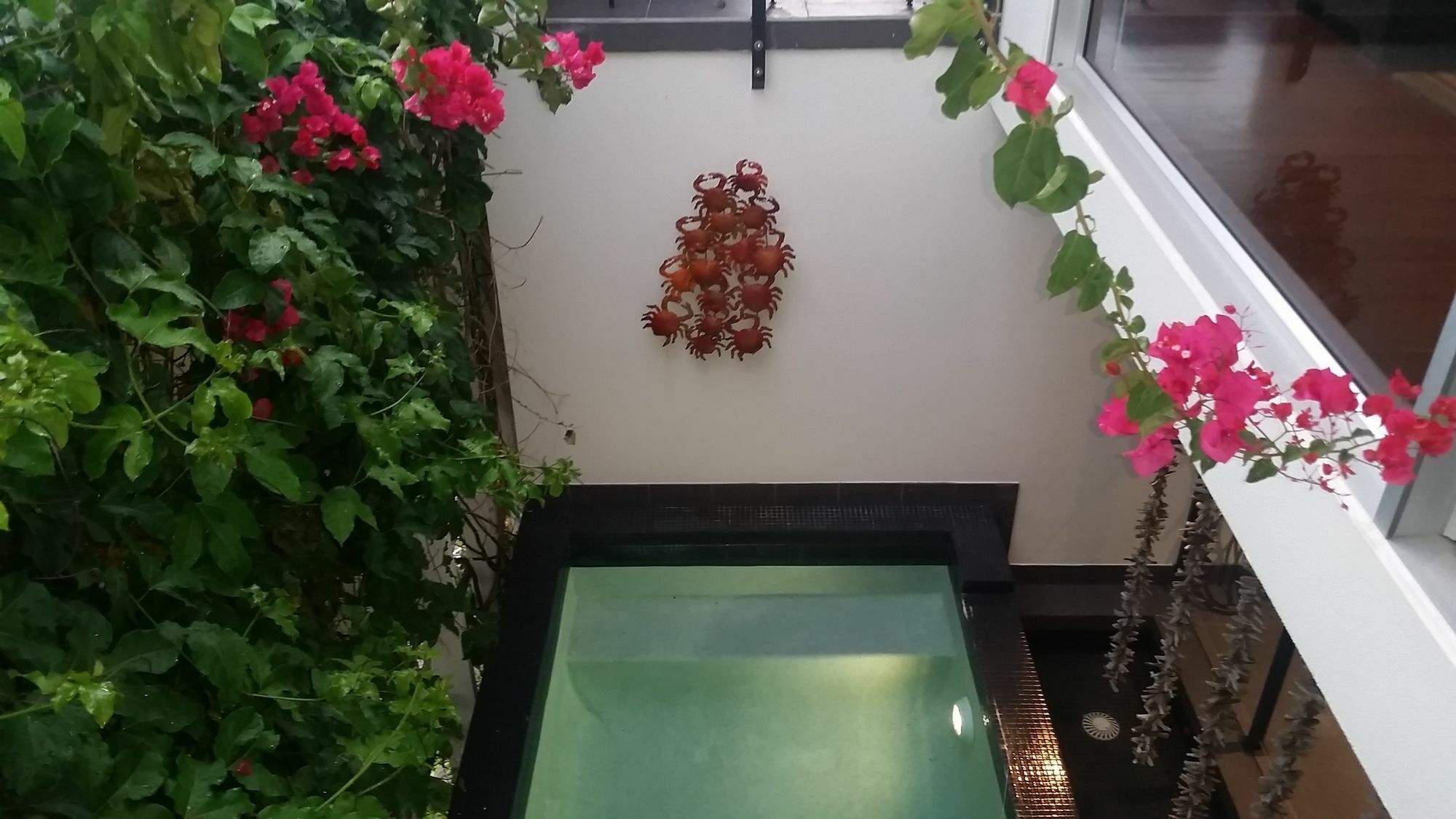 Sunrise Cove Holiday Apartments By Kingscliff Accommodation Екстер'єр фото